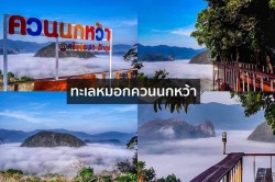 ทะเลหมอกจังหวัดพัทลุง